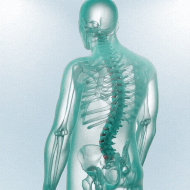 PostavaFit Plus™ – L’expertise au Service d’une Posture Parfaite